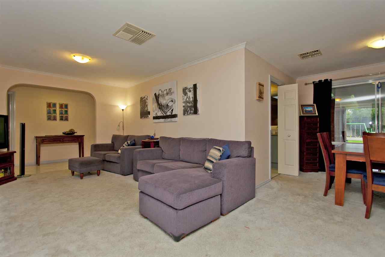 resized-2349823-edit11 kingfisher 55.JPG